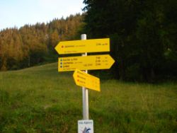 2013-07-20_Regina-F-Rau_Kochel-Rabenkopf (564).JPG